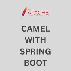 Spring Boot with Apache Camel