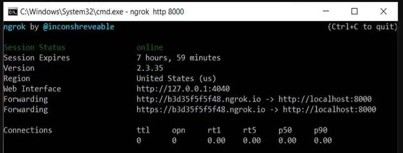 Host Local Web Project using NGROK: Django, Flask, ReactJS, Spring Boot